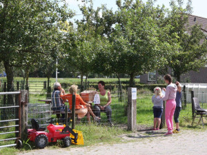 boerencamping noord-holland