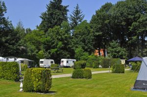 groene staplaatsen op de natuurcamping gelderland