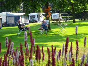 Een man en vrouw op campingstoeltjes in een groen veld met bloemen op boerencamping limburg