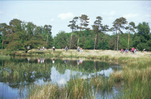 boerencamping drenthe