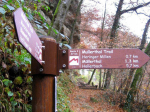 Borden met wandelpaden bij de kleine camping in Luxemburg