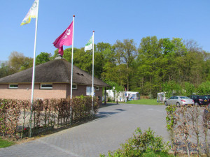 De parkeerplaats van de kleine camping in Gelderland