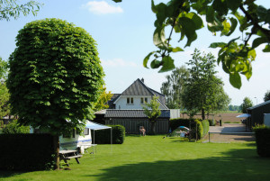 Het groene grasveld van de natuurcamping Gelderland
