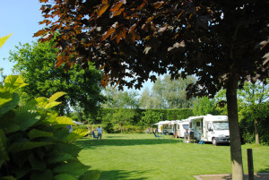 Het kampeerterrein van de natuurcamping Gelderland