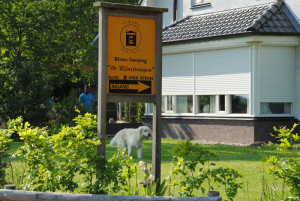 Welkom op de kleine camping De Rijnstangen. De natuurcamping Gelderland