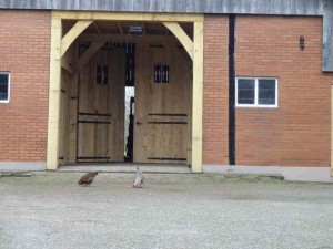 Een poort op de kleine camping Overijssel
