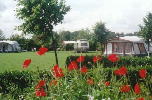 Klaprozen en caravans op de kleine camping Brabant