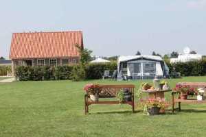 Houten bankjes met bloemen op de kleine camping Brabant