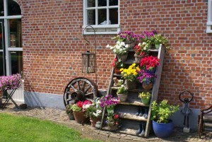 Bloemen op een trapje op de kleine camping Brabant