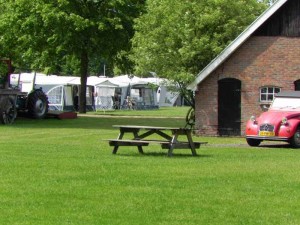 Een rode kever op de kleine camping Overijssel