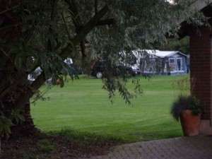 Een grote wilg op de kleine camping Overijssel