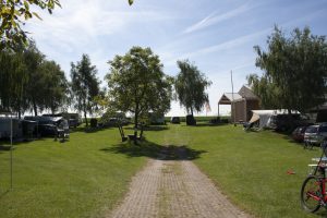 Een groen grasveld op de minicamping