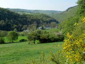 De natuur bij de kleine camping Luxemburg