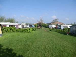 Het groene kampeerveld op de boerencamping Utrecht