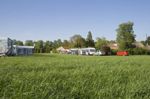 Groen gras op de boerencamping Gelderland