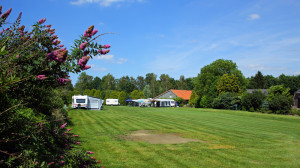 Het groene kampeerterrein van de boerencamping Gelderland