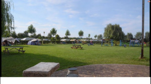 Het groene kampeerterrein van de kleine camping Limburg