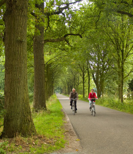 Mensen op de fiets in de buurt van de natuurcamping brabant