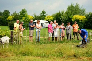 De kleine camping Drenthe