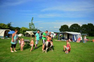 Kinderen kijken naar een kleine pony op de kleine camping Drenthe