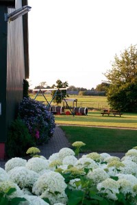 Witte bloemen op de kleine camping Overijssel