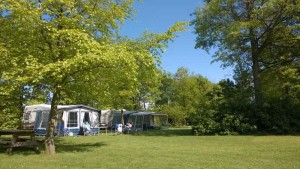 Caravans onder de bomen van een kleine camping in Gelderland