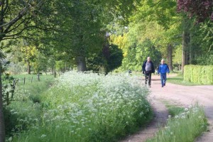 Mannen wandelen in de buurt van een kleine camping in Gelderland