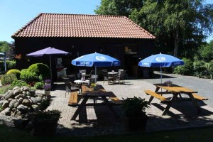 Picknicktafels en parasollen op de kleine camping Drenthe