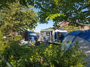 Tenten en campervans op een boerencamping in Nederland