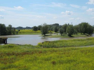 Een plas dichtbij de boerencamping Gelderland