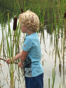 Een jongetje vist met een stok in het riet op de natuurcamping Drenthe