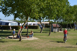 Kinderen spelen op het gras op de kleine camping Limburg