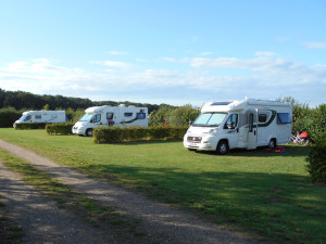Witte campers op de kleine camping Limburg