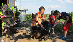 De minifarm op de boerencamping Limburg