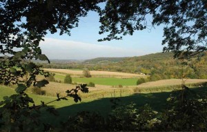 De natuur rondom de boerencamping Limburg