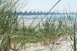 Het gras van de duinen aan het strand bij de boerencamping aan zee