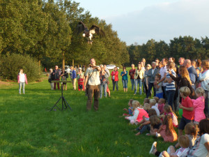 Een show met een grote roofvogel op kleine camping Brabant