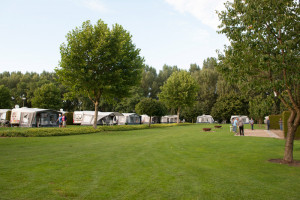 Groene grasvelden met caravans op de boerencamping limburg