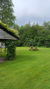 De kleine camping groningen