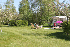 Een caravan met stoelen ervoor op een natuurcamping drenthe