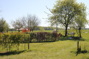 De lege kampeervelden op een natuurcamping drenthe