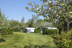 Een kampeerveld met twee caravans op een natuurcamping drenthe