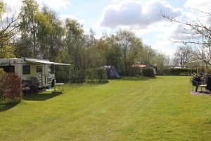 Het veld van de natuurcamping