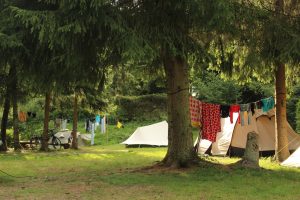 camping card