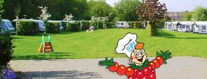 Flipje op een natuurcamping nederland