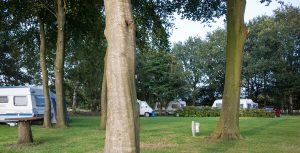 Bomen en caravans op de boerencamping drenthe