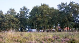 De heide en de boerencamping drenthe