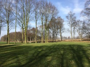 Hoge bomen en een grasveld op een boerencamping drenthe