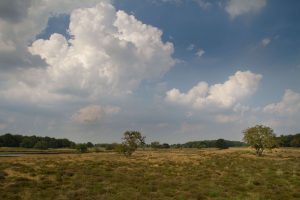 De heide dichtbij de boerencamping drenthe