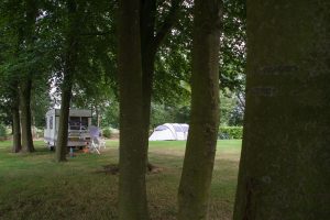 Bomen en een caravan op een boerencamping drenthe